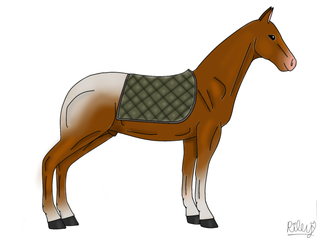 green saddle pad 🪵🌳