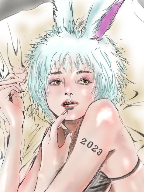 2023兎