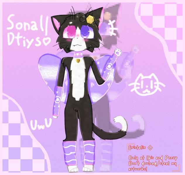 Sonal's dtiys!