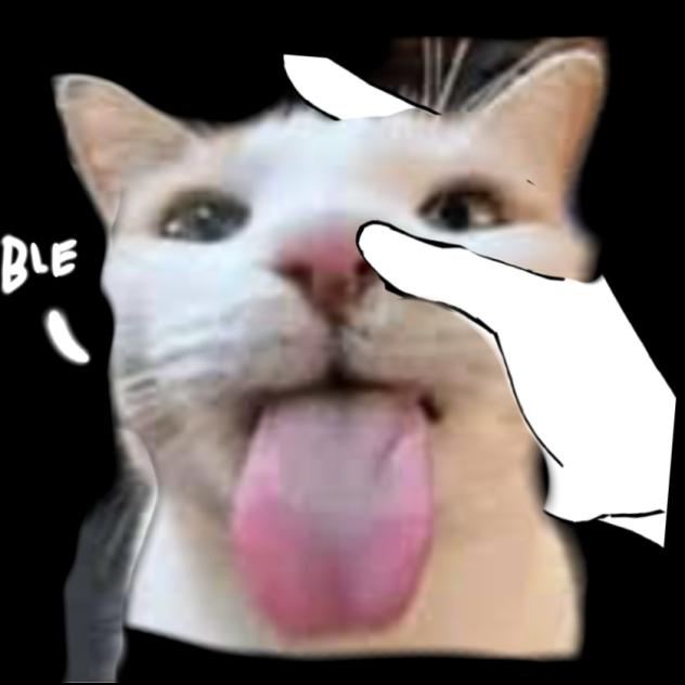 for my birthday (a little late)