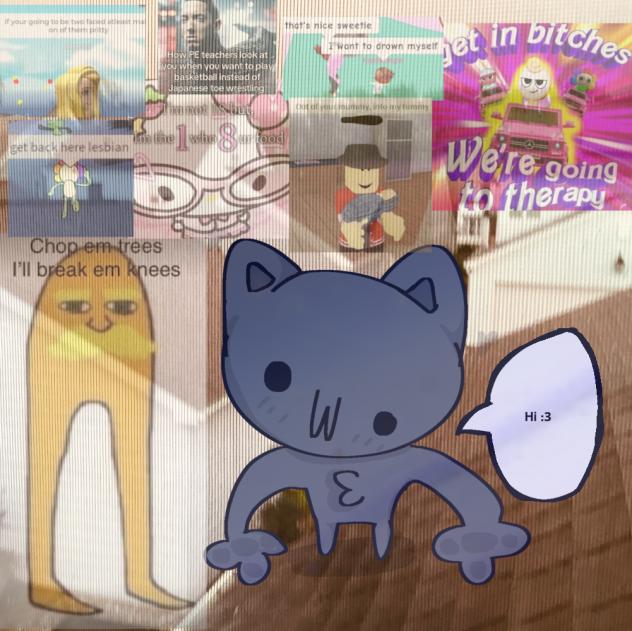 Silly meme cat