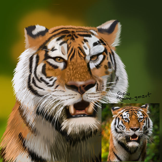 copia (tigre)