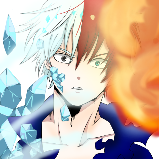 ヒロアカ  轟焦凍