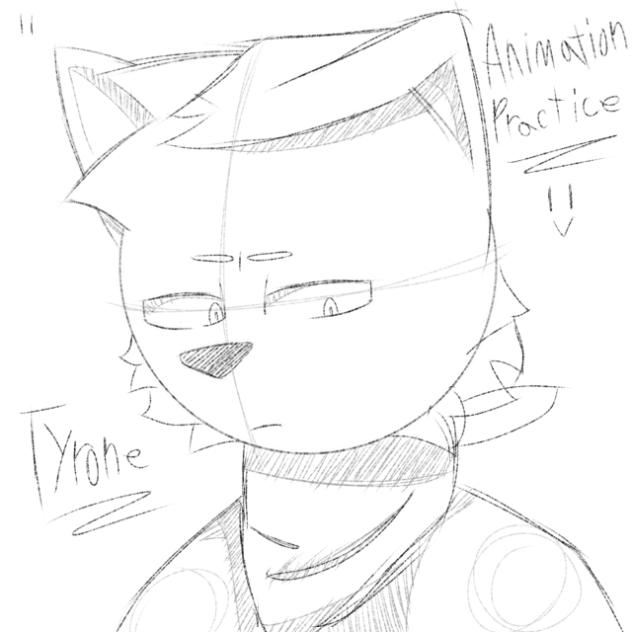 animation practice
