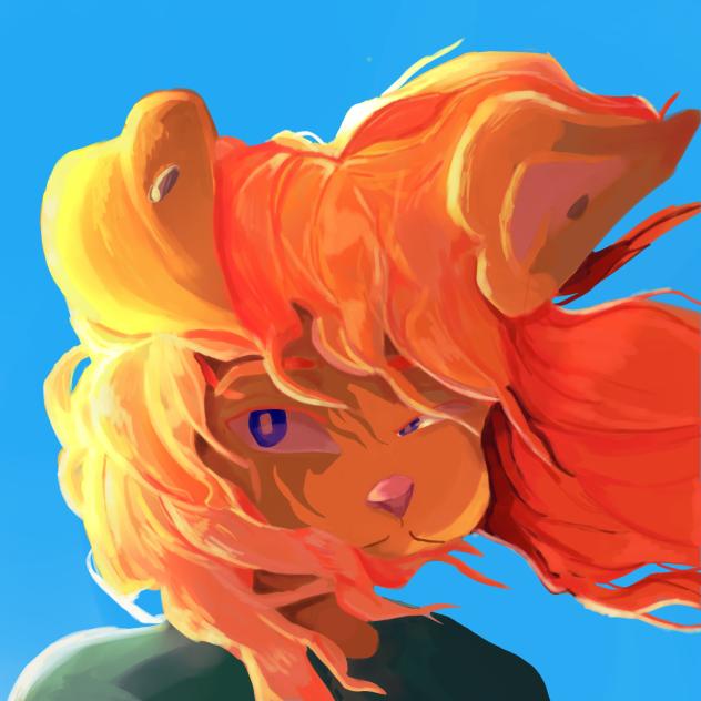 🌅