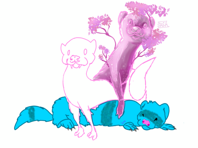 Ferret Collab🌸