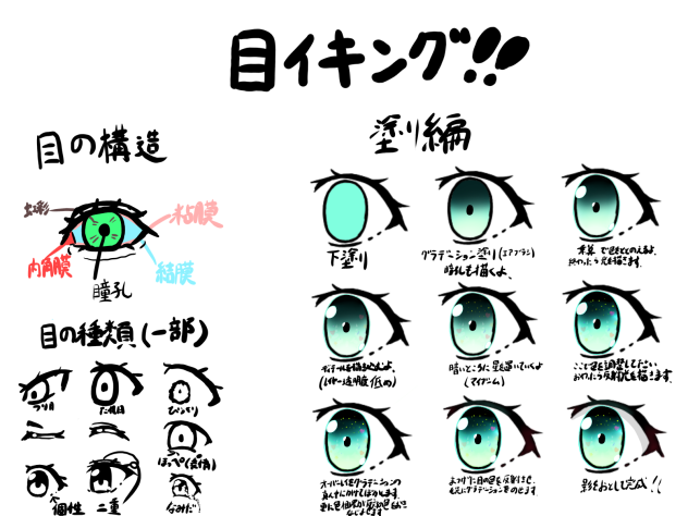 星空の様な目