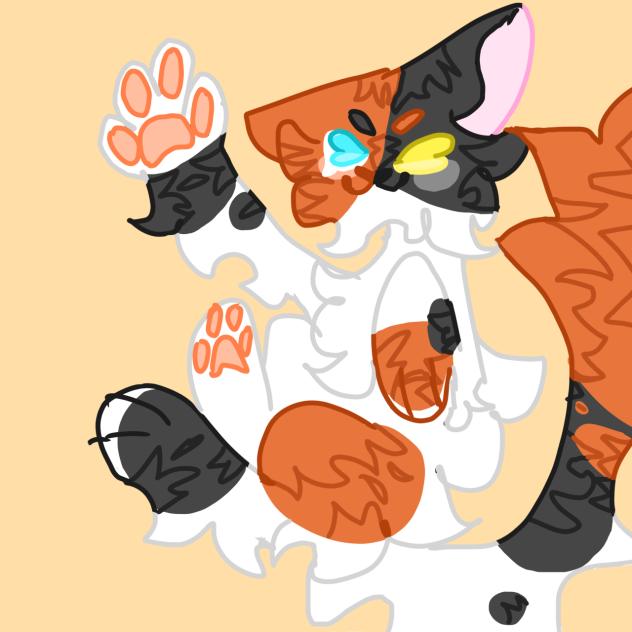 Little kiddy cat baby