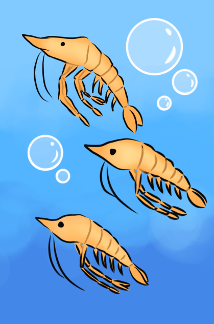 Prawn