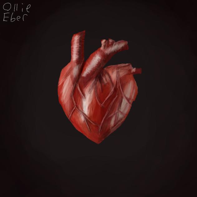 Human Heart ❤