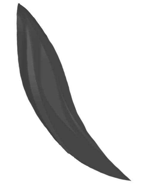 Hair