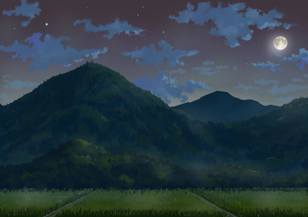 山と青田（夜）