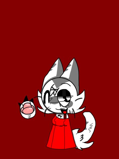 Wenda the kitty🐱🤍