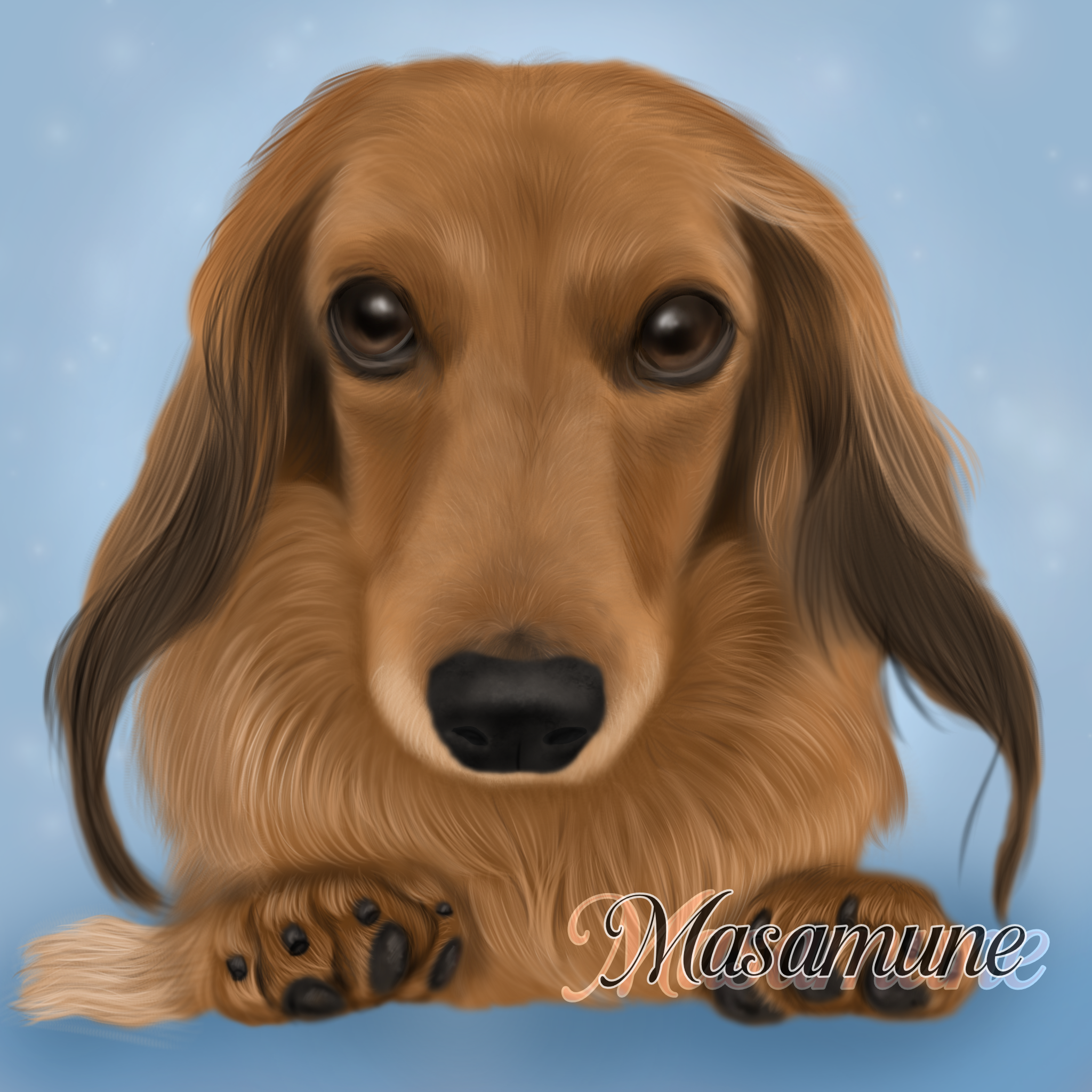 MY DOG - ibisPaint