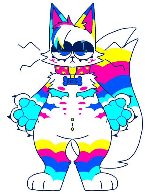 Dog the cat