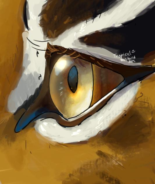 🐯👁️