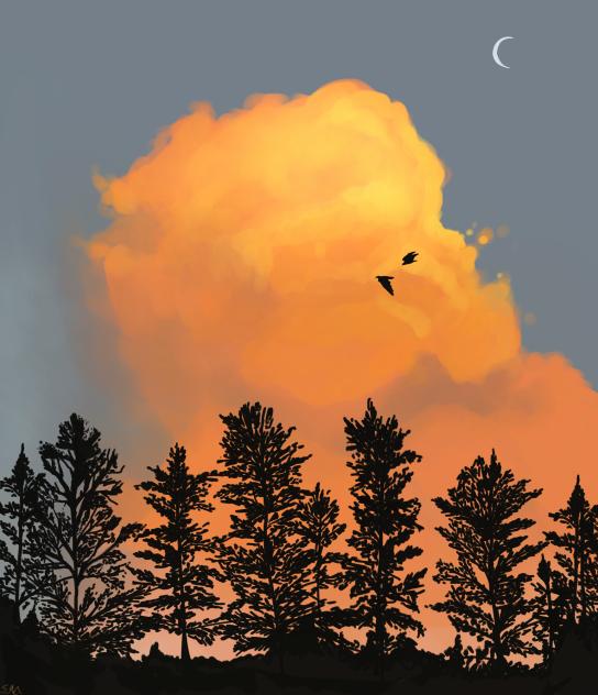 Cloud ☁️
