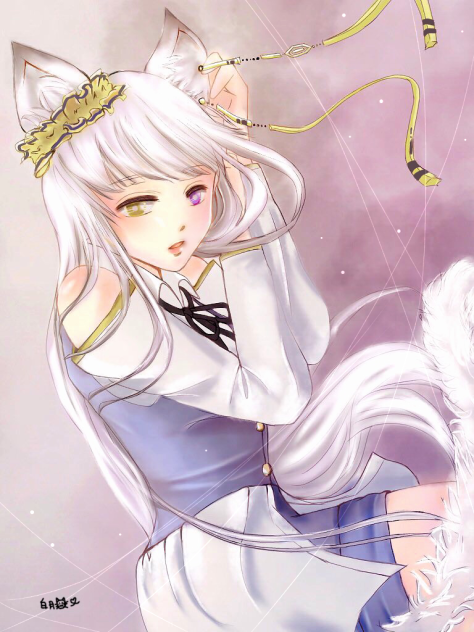 Atoriさんち猫ちゃん