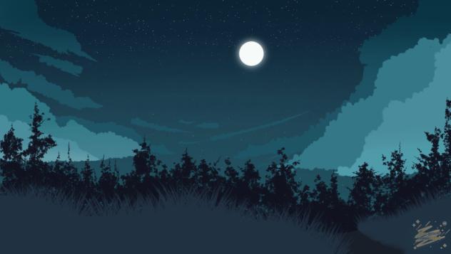 a night forest landscape illustration