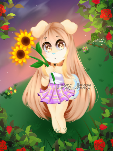 loly
