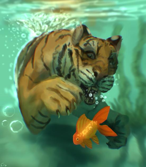 ~ 💧🐯 ~