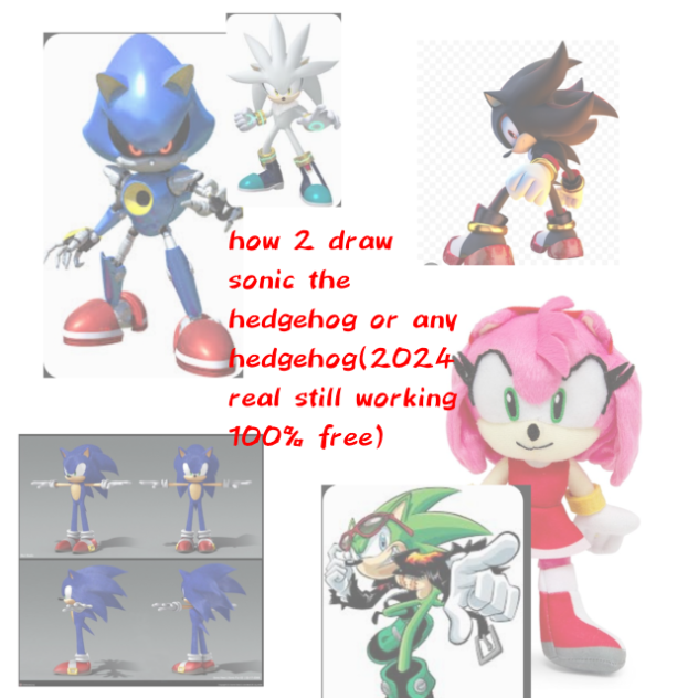 how 2 draw hedgehogs in 2024 legit