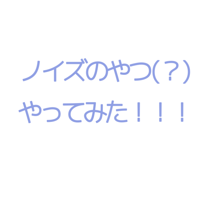 ノイズ！！やってみた！！