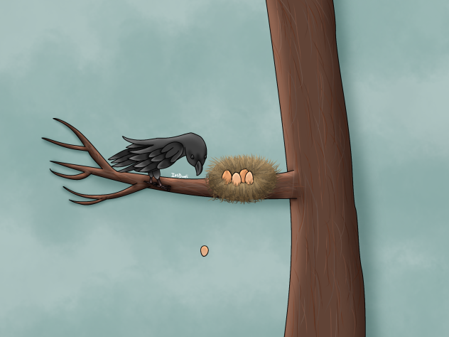 Nest