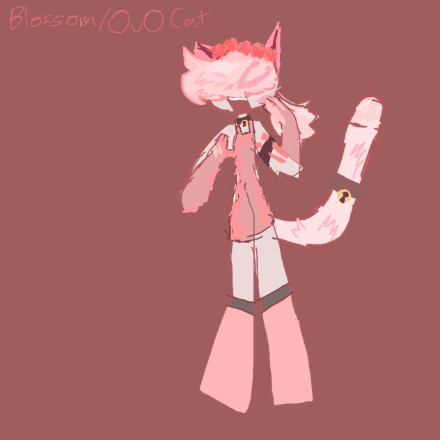 Blossom