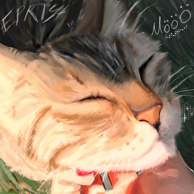 POWER CAT MEOWWWWWWW🥴🤩😻