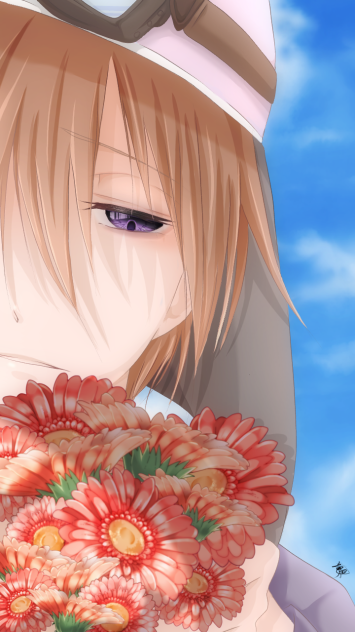shp ガーベラ