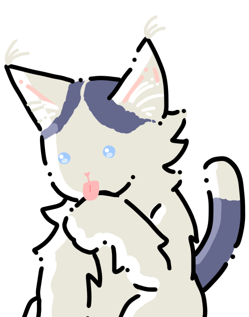 My cat