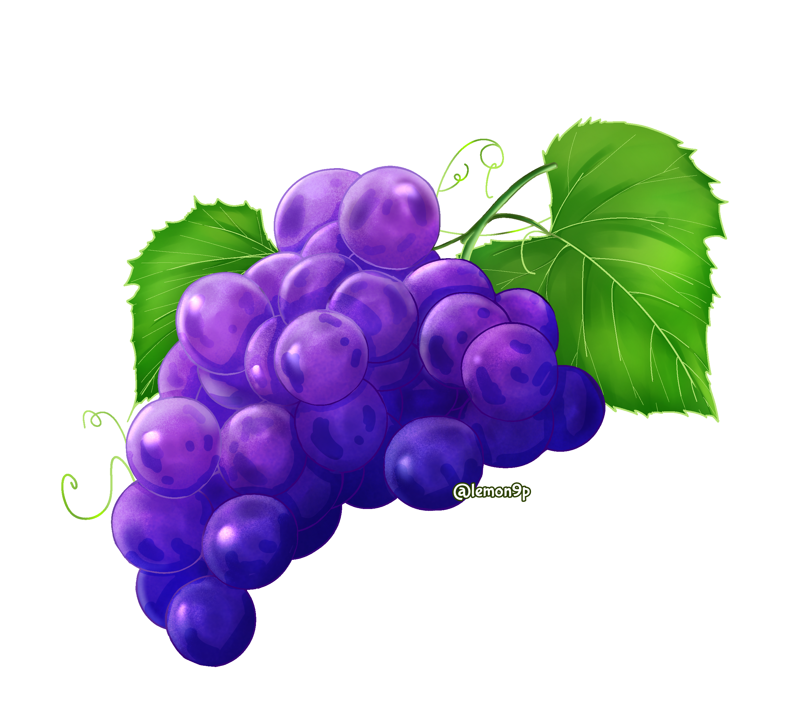 Grape - ibisPaint