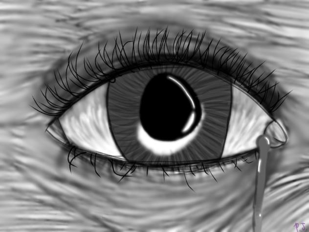 Let me see your soul