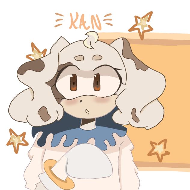 kan on sonic's style