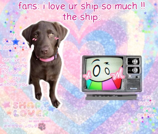 READ RN YOU BAPPLE !1!1!1