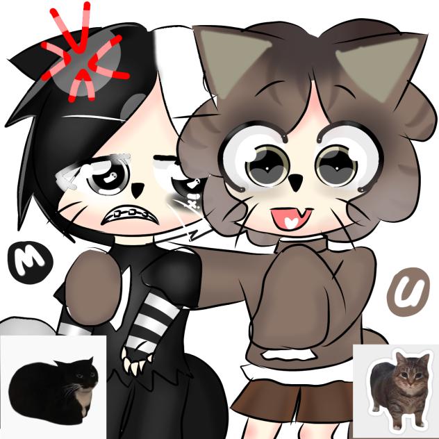 Maxwell cat or U I A cat🖤🤎