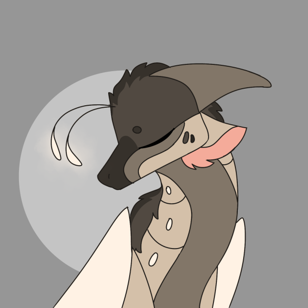 Moth