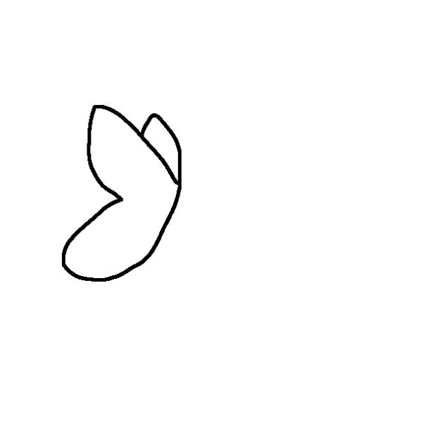 ''Not a butterfly''