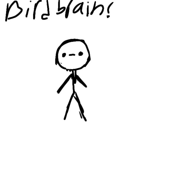BIRDBRAIN! (wip)
