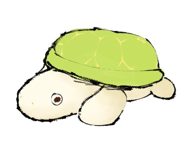 turtle