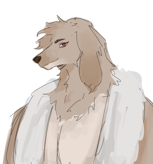 dog doodle