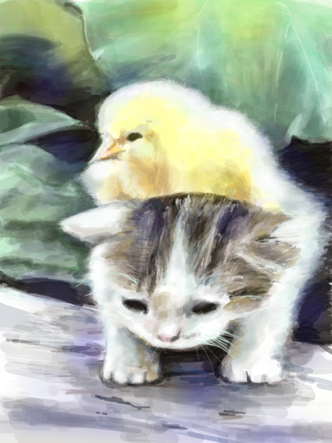 姫、ここを越えるでござる！