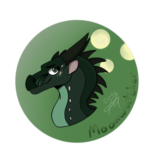 HaD #6 Moonwatcher