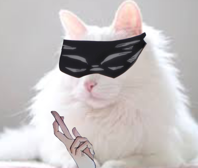 cat gojo