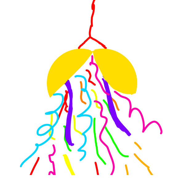 クス玉　スタンプ