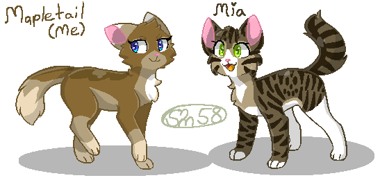 Warrior Cat me and Mia