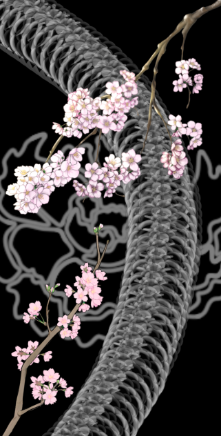 Snace and flowers