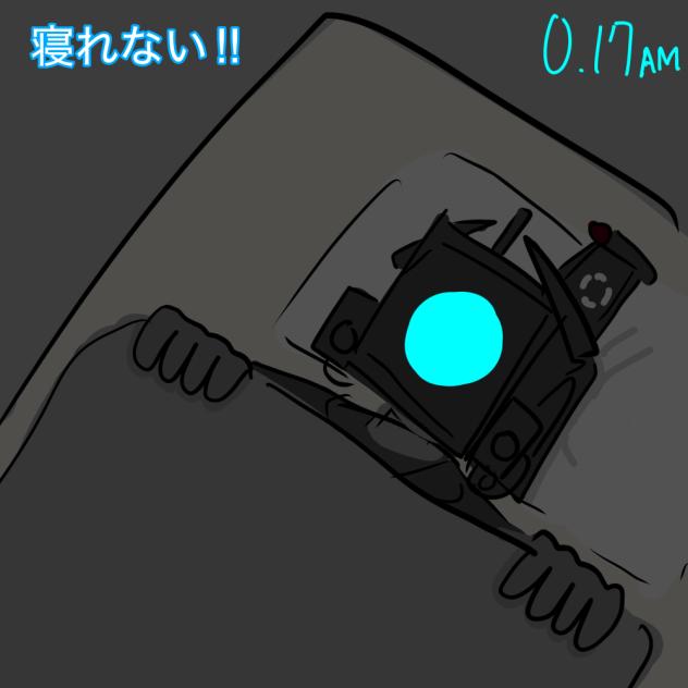 寝れないタイカメ