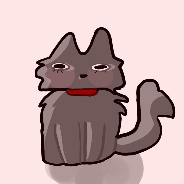 Cat 🧶